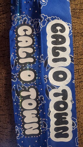 BAND_Steel 2024-2025_2025-02-12-08-58-27